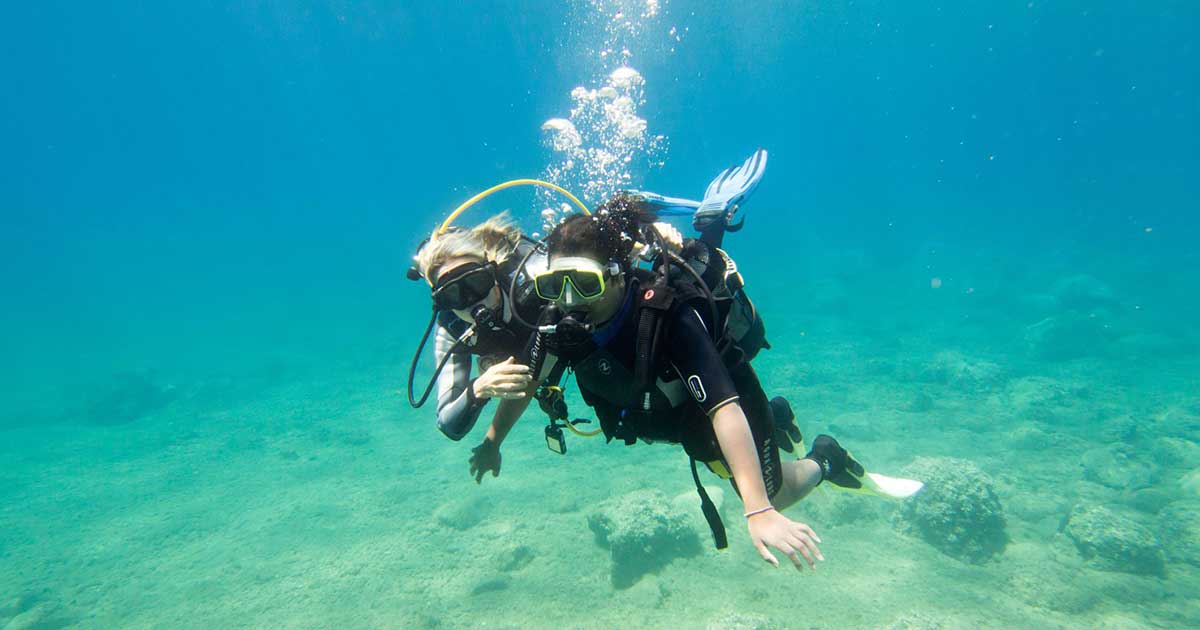 Mergulho de batismo ou curso de mergulho Entenda as diferenças Evidive Concept Dive Center